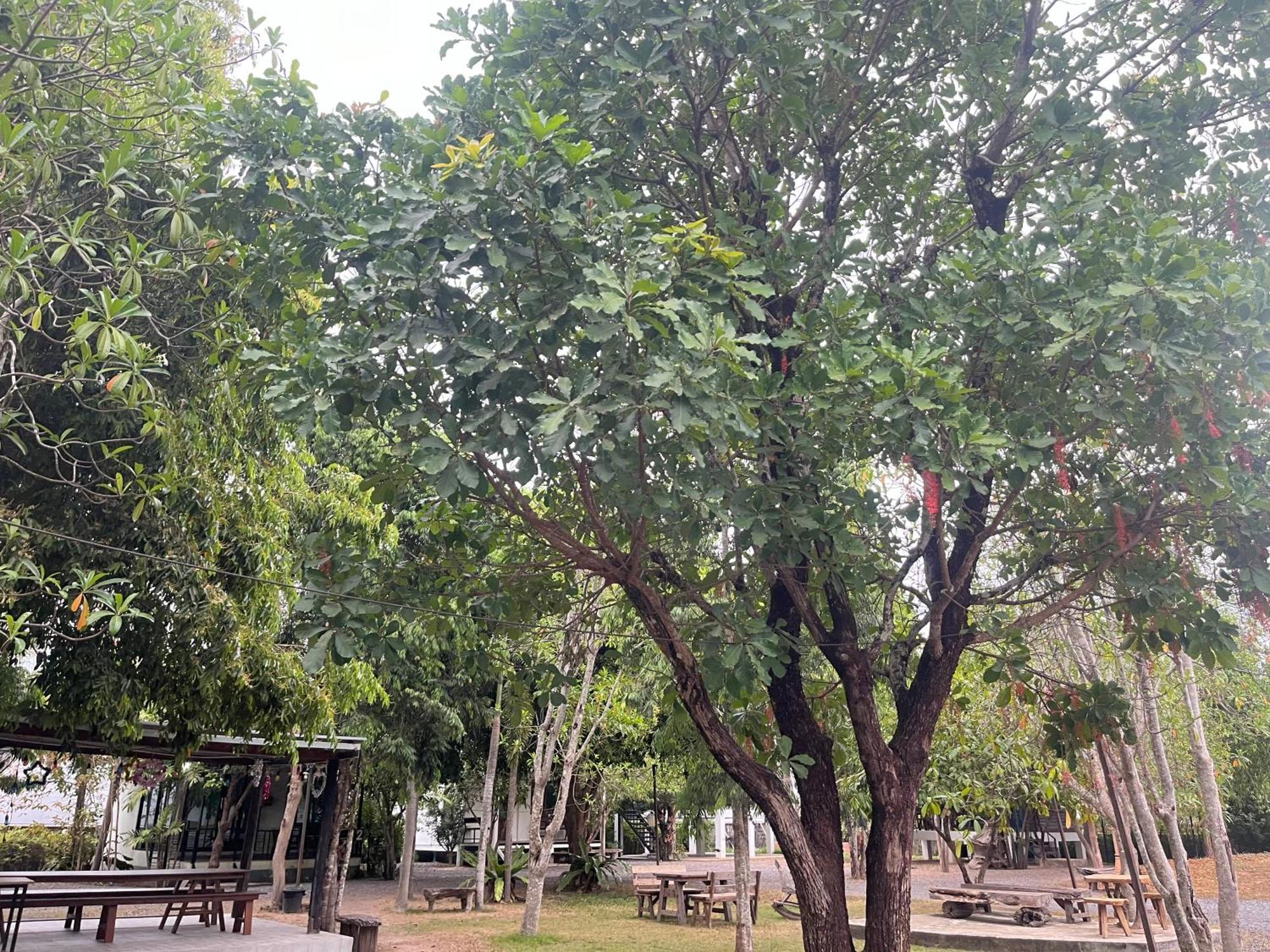 Sangkaset Resort Ban Mong Muang Zewnętrze zdjęcie